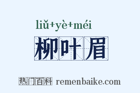 柳叶眉是什么意思的图片